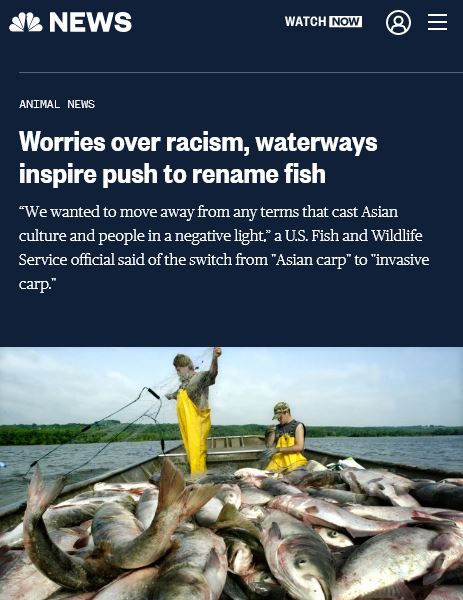 article asian fish